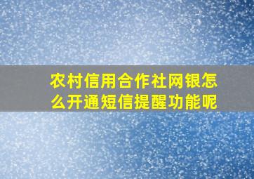 农村信用合作社网银怎么开通短信提醒功能呢