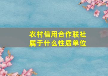 农村信用合作联社属于什么性质单位