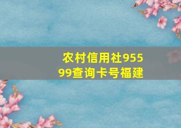 农村信用社95599查询卡号福建