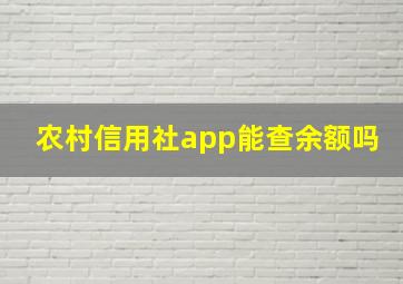 农村信用社app能查余额吗