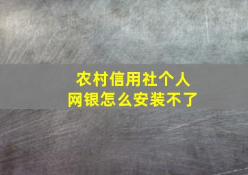 农村信用社个人网银怎么安装不了