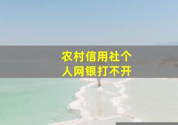 农村信用社个人网银打不开