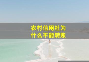 农村信用社为什么不能转账