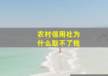 农村信用社为什么取不了钱