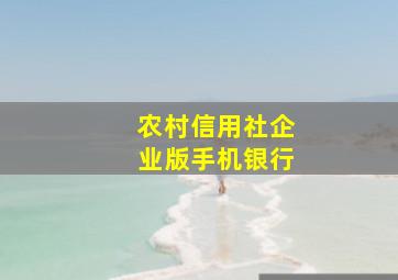 农村信用社企业版手机银行