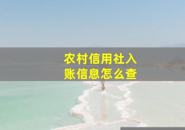 农村信用社入账信息怎么查