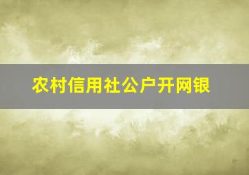 农村信用社公户开网银