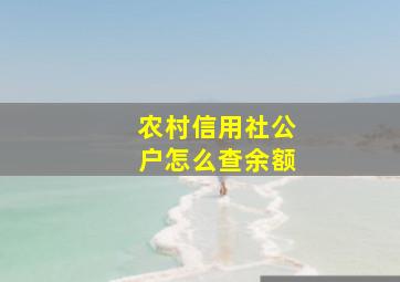 农村信用社公户怎么查余额