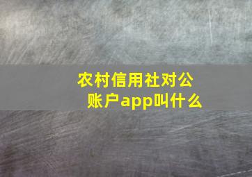 农村信用社对公账户app叫什么