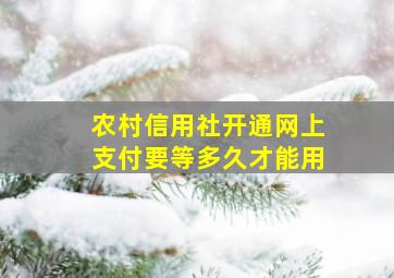 农村信用社开通网上支付要等多久才能用