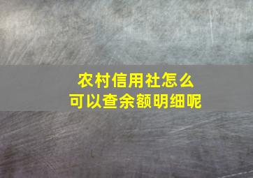 农村信用社怎么可以查余额明细呢