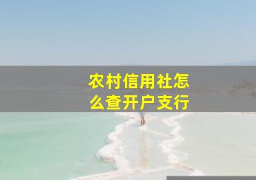 农村信用社怎么查开户支行