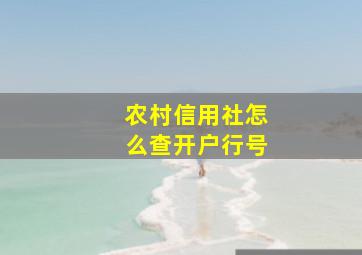 农村信用社怎么查开户行号