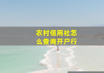 农村信用社怎么查询开户行