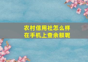 农村信用社怎么样在手机上查余额呢