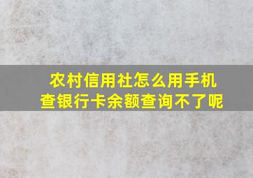 农村信用社怎么用手机查银行卡余额查询不了呢