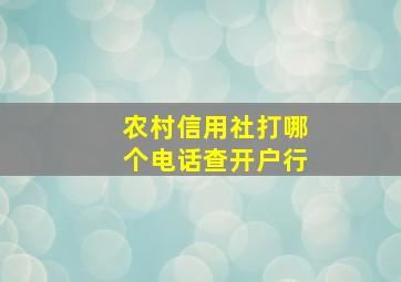 农村信用社打哪个电话查开户行