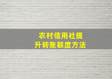 农村信用社提升转账额度方法