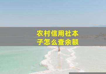 农村信用社本子怎么查余额