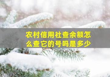 农村信用社查余额怎么查它的号吗是多少