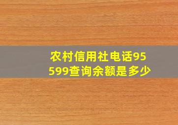 农村信用社电话95599查询余额是多少