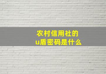 农村信用社的u盾密码是什么