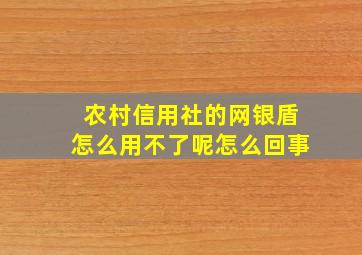 农村信用社的网银盾怎么用不了呢怎么回事