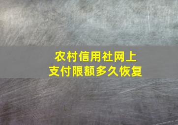 农村信用社网上支付限额多久恢复