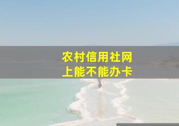 农村信用社网上能不能办卡