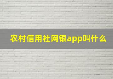 农村信用社网银app叫什么