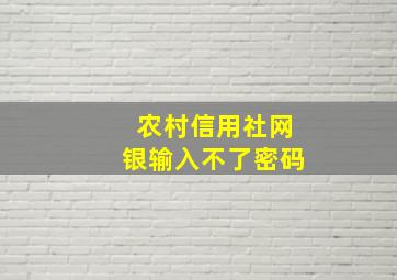 农村信用社网银输入不了密码