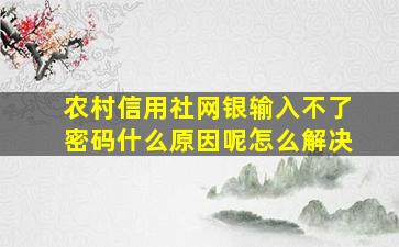 农村信用社网银输入不了密码什么原因呢怎么解决