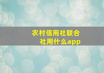 农村信用社联合社用什么app