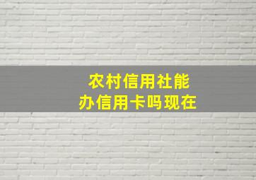 农村信用社能办信用卡吗现在