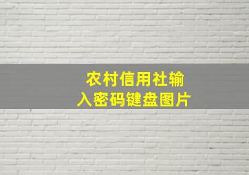 农村信用社输入密码键盘图片