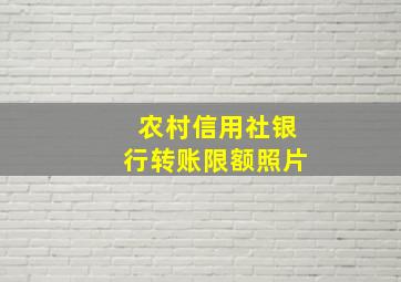 农村信用社银行转账限额照片