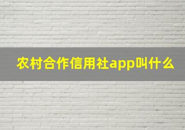 农村合作信用社app叫什么