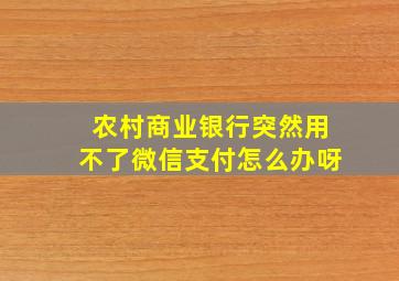 农村商业银行突然用不了微信支付怎么办呀