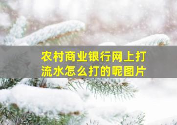 农村商业银行网上打流水怎么打的呢图片