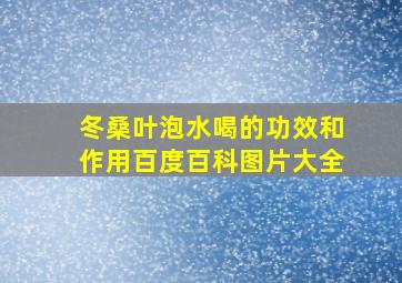 冬桑叶泡水喝的功效和作用百度百科图片大全