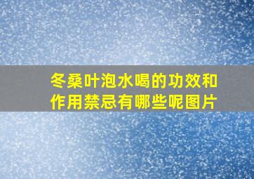 冬桑叶泡水喝的功效和作用禁忌有哪些呢图片