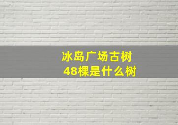 冰岛广场古树48棵是什么树