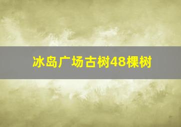 冰岛广场古树48棵树