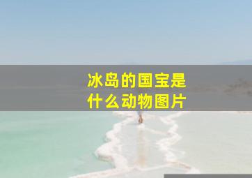 冰岛的国宝是什么动物图片