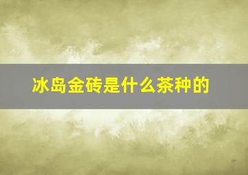 冰岛金砖是什么茶种的