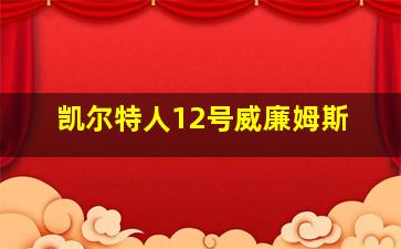 凯尔特人12号威廉姆斯