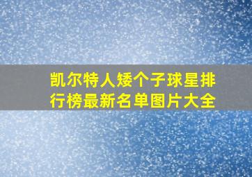 凯尔特人矮个子球星排行榜最新名单图片大全