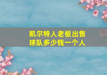 凯尔特人老板出售球队多少钱一个人