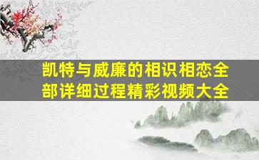 凯特与威廉的相识相恋全部详细过程精彩视频大全