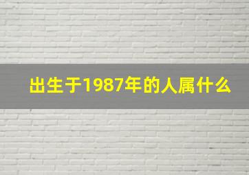 出生于1987年的人属什么